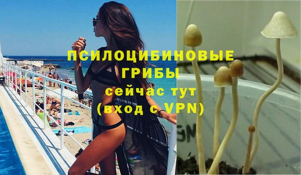 прущая мука Нягань
